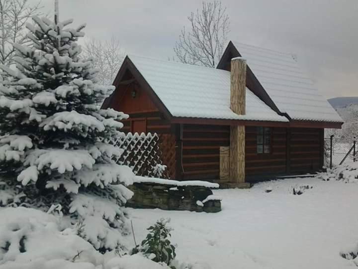 Agroturystyka W Ogrodach Санок Екстериор снимка